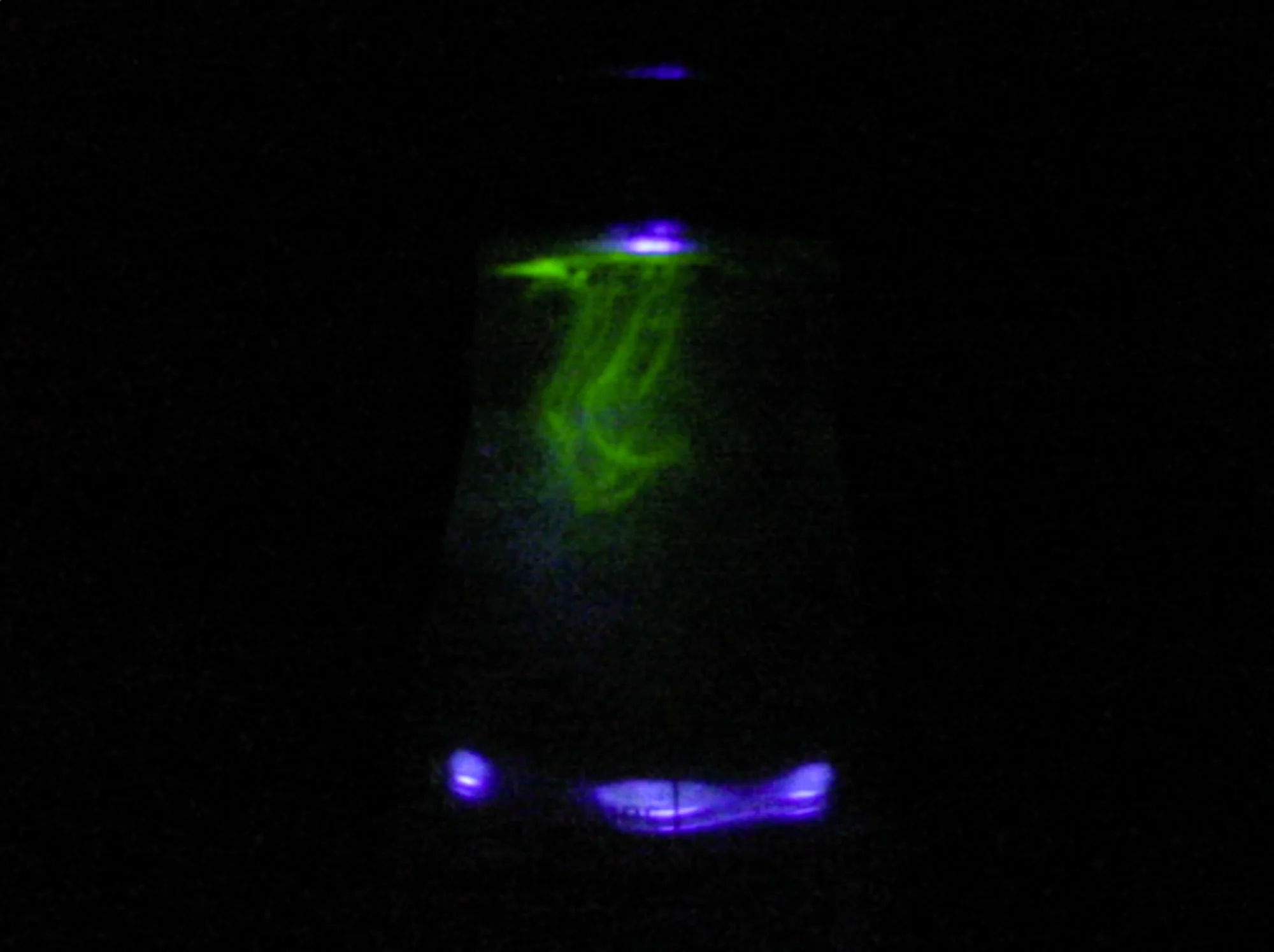 chemiluminescence 2, 2009