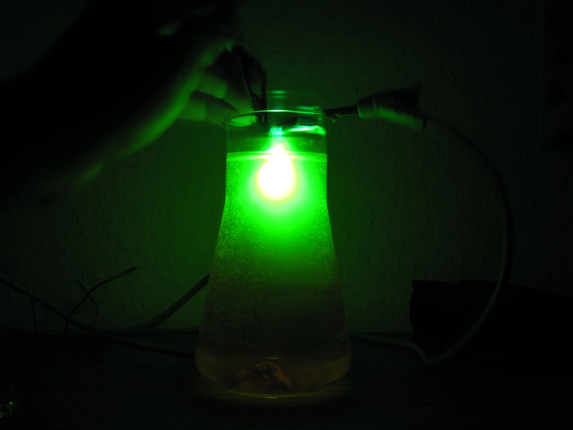 chemiluminescence 3, 2009