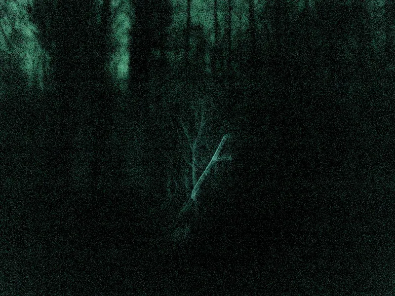 W_CCD_1