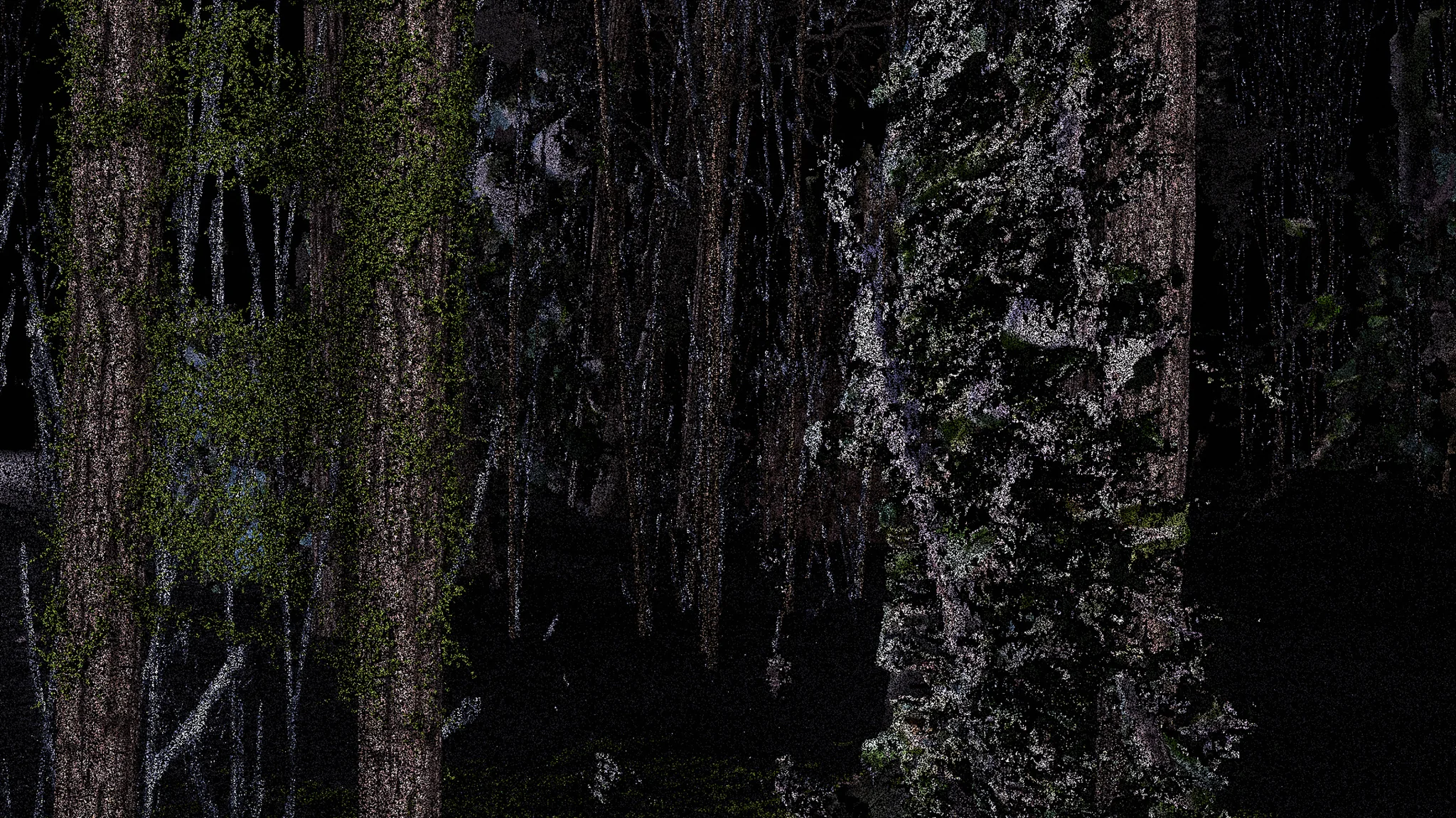scene 2, frame 3044