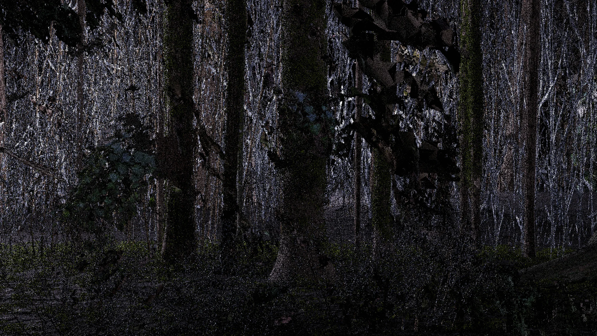 scene 3, frame 2